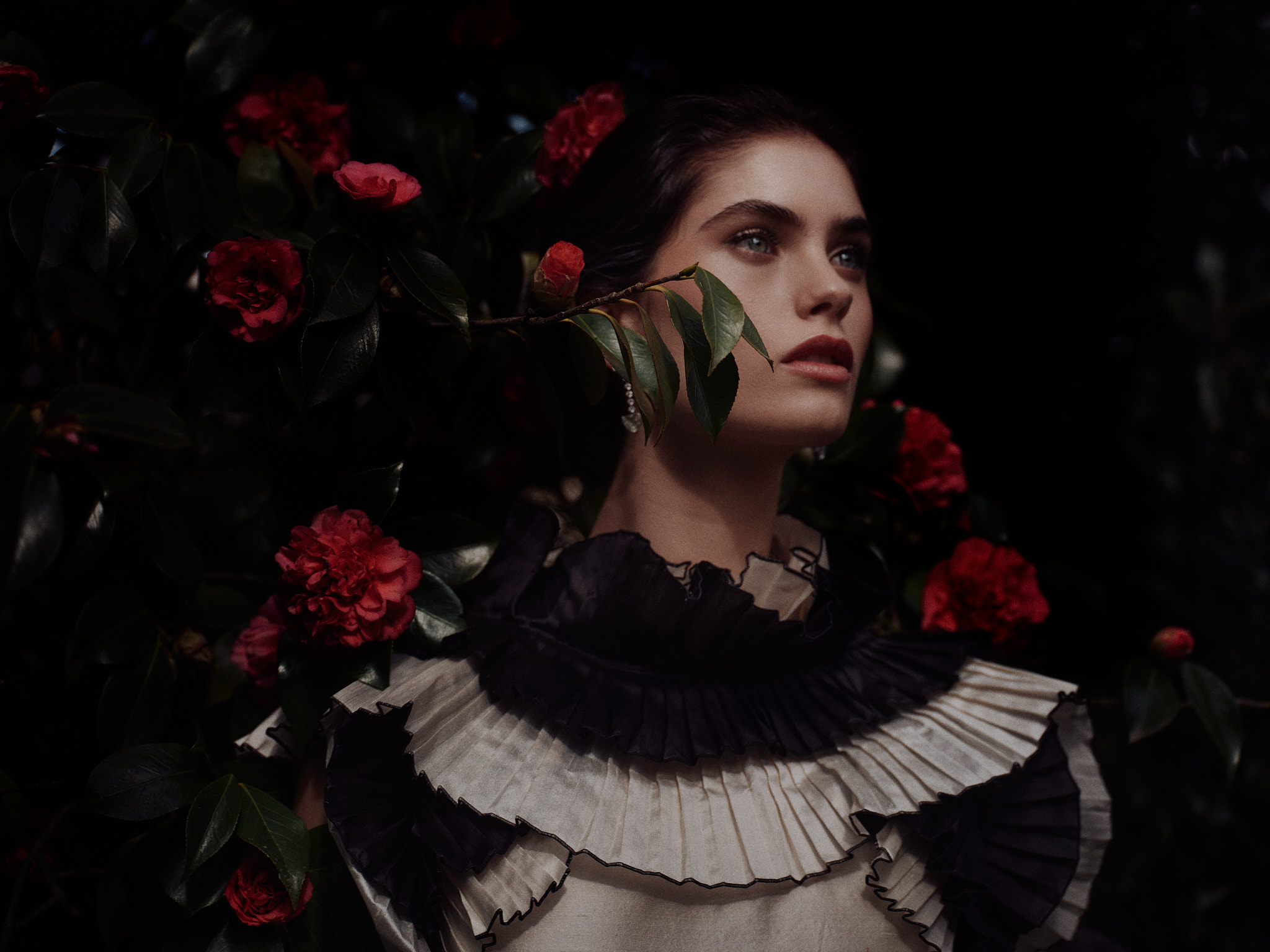 Gaia Schiralli model - Dramatic fashion editorial portrait of a pensive female model with striking blue eyes, set against a dark, moody background of lush foliage and deep red camellia flowers. The model wears an intricate, multi-layered, high-collared garment with elaborate pleated and ruffled textures in cream and black